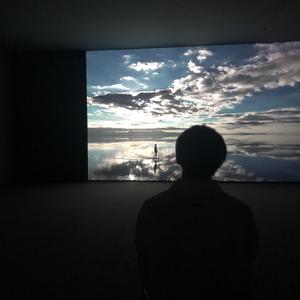 再也抓不到你手