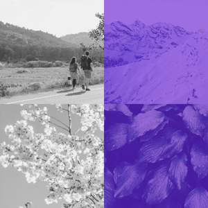 柔和的餐厅时刻