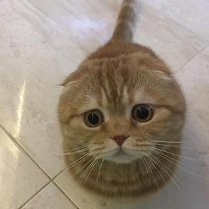 Sad Smile