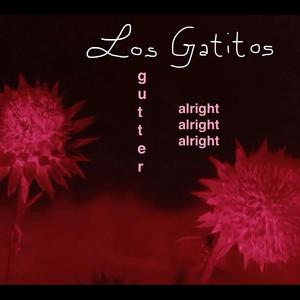 Gutter