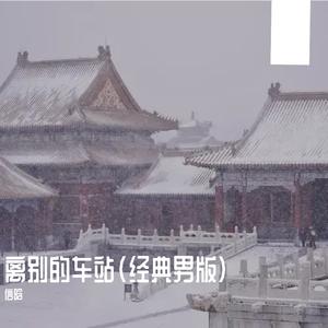 离别的车站（经典男版）