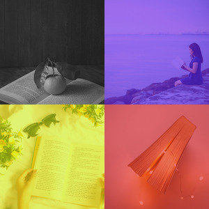 抚慰的大学回忆