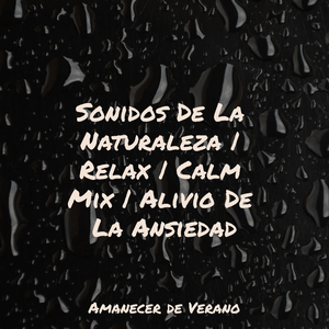 Resplandor brumoso del sol