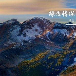 缘浅情深