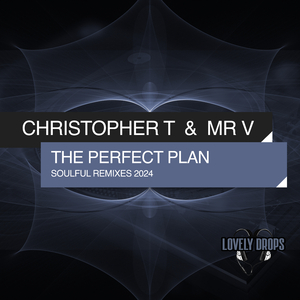 The Perfect Plan (Soulful Extended Remix 2024)