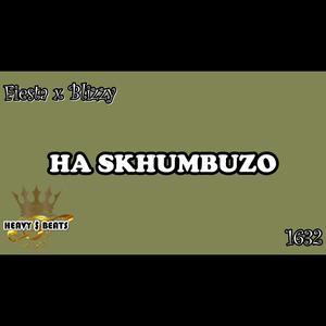 Skhumbuzo (feat. Fiesta)