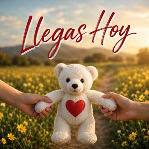Llegas Hoy