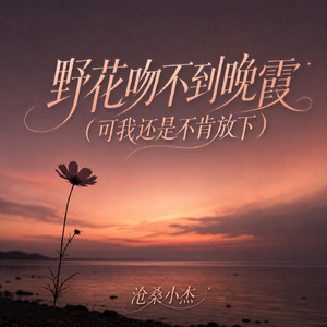 野花吻不到晚霞 (可我还是不肯放下)
