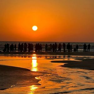 《清醒的痛觉》