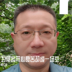 为何我用心良苦却成一场空(原声版) 伴奏