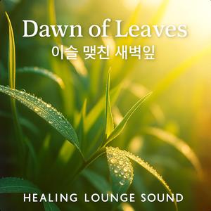 Dawn of Leaves – 이슬 맺힌 새벽잎