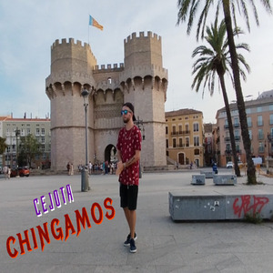 Chingamos