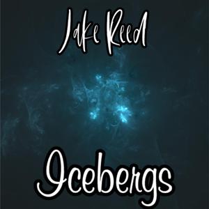 Icebergs