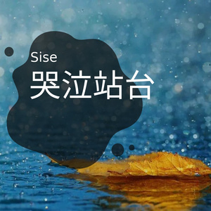 王小帅-哭泣站台（Sise remix）