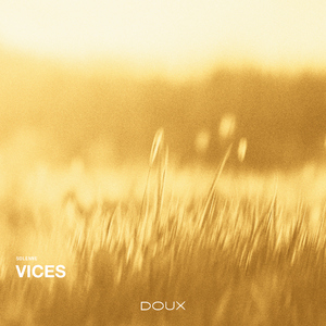 Vices
