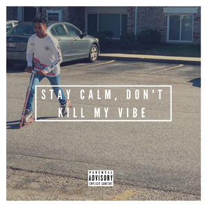 Stay Calm, Don't Kill My Vibe