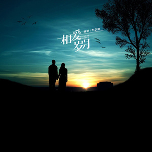 相爱岁月 (DJ何鹏版)