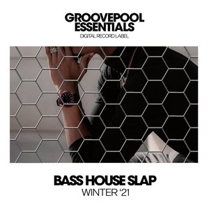 Push It (Steve Harrison Bass House Mix)