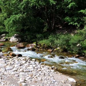 [FREE] "清泉石上流" Gunna Type Beat