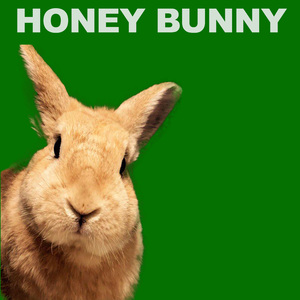 You're Loving Me Wrong (V.Soul Remix)