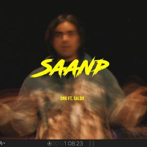 Saanp (feat. Salor)