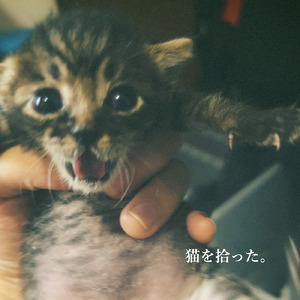 Good Boy Michelle (Acoustic Ver.)