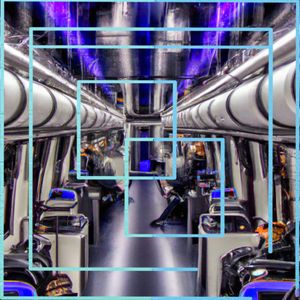 Wild Mustangs in the Dance Hall