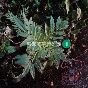 愚蠢的宇宙幻想IIInew