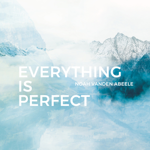 Everything is Perfect