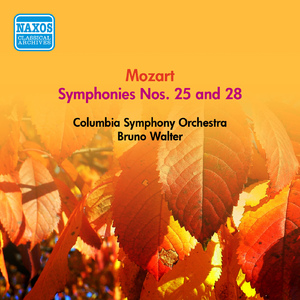 Symphony No. 28 in C Major, K. 200:I. Allegro spirituoso