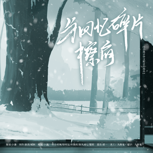 与回忆碎片擦肩