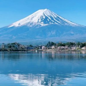 富士山下的血仇