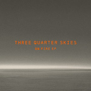 Crows (Drab Majesty Remix)