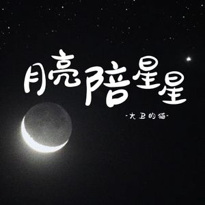 月亮陪星星