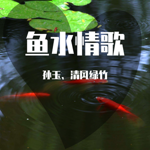 鱼水情歌（翻自 陈瑞）