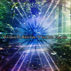 倾盆大雨的梦想