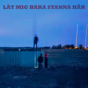 Hjärtslag