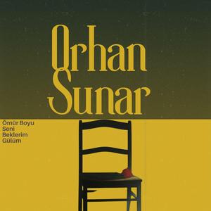 Ömür Boyu Seni Beklerim Gülüm