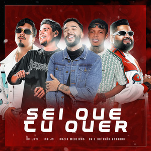 Sei Que Tu Quer (Remix)