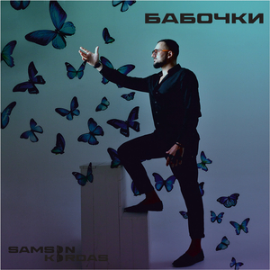 Бабочки