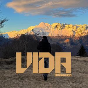 Vida