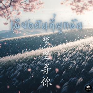 เพียงฝันที่ผูกพัน (梦里寻你)