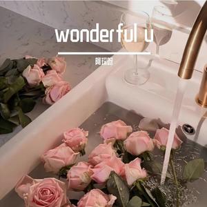 Wonderful u
