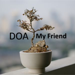My Friend