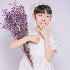 党是太阳,我是花 (Live)