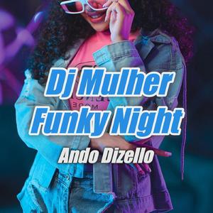 Dj Mulher Funky Night