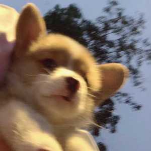 爱丫爱丫 （翻自 by2）