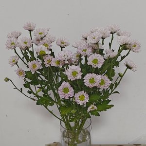 雄性呐喊的烽火台