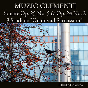 III. Rondo. Assai Allegro