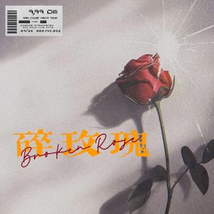 碎玫瑰BrokenRose(ProdEVOMUSIC)